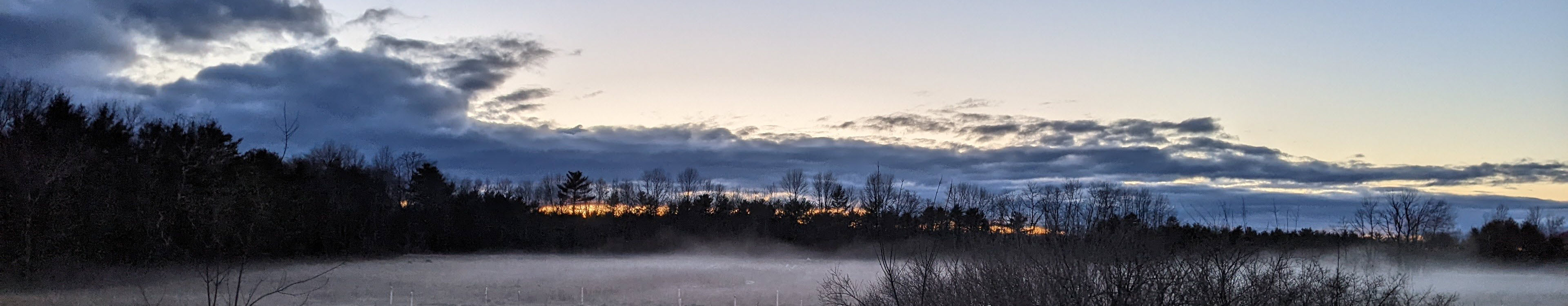 field fog